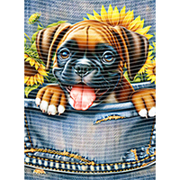 Animal Text Series-AT 2370